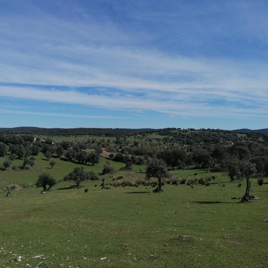 Vila Casa Do Cabeco - Termas Da Sulfurea Cabeço de Vide Exteriér fotografie